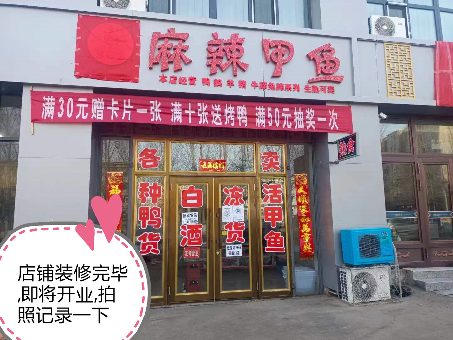 麻辣甲魚開店成功！(圖2)