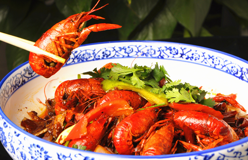 小龍蝦培訓(xùn)(圖3)