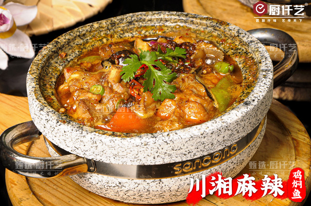 香妃雞戀上魚(yú)培訓(xùn)(圖1)