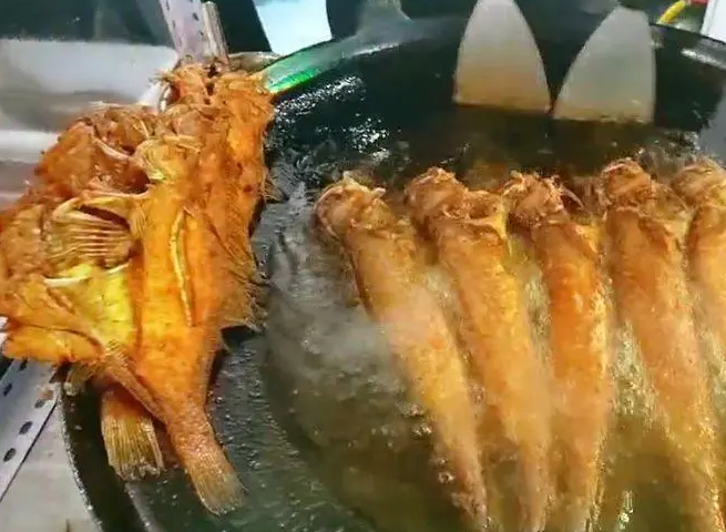 香煎深海魚培訓(xùn)哪家好？學(xué)費多少錢(圖1)