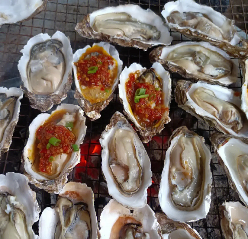 10元5個烤生蠔利潤多少？