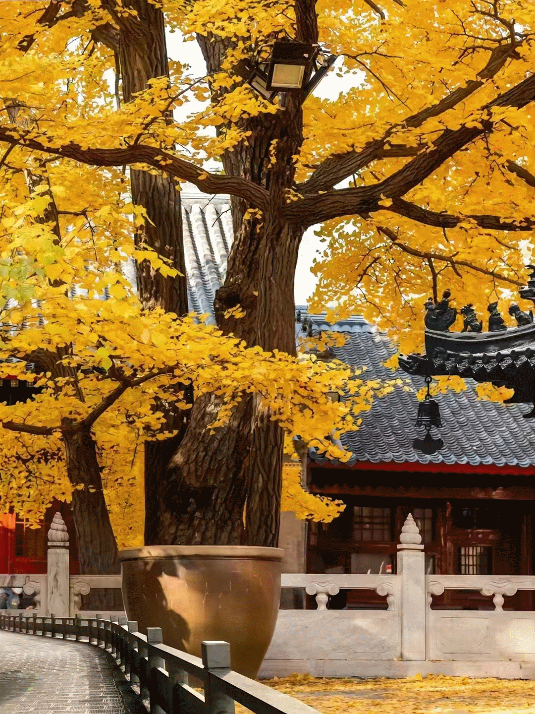 十月培訓(xùn)實(shí)景(圖1)