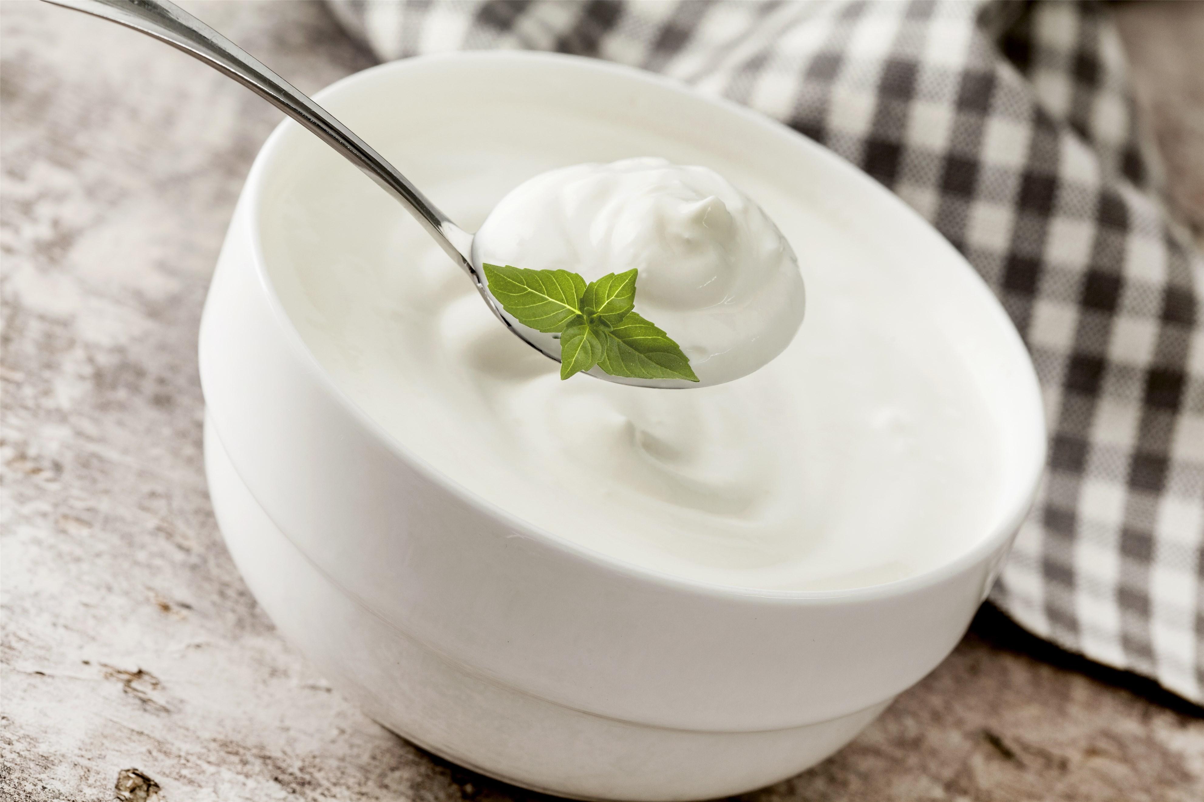 酸奶技術(shù)到哪里學(xué)？選擇最適合的學(xué)習(xí)途徑(圖2)