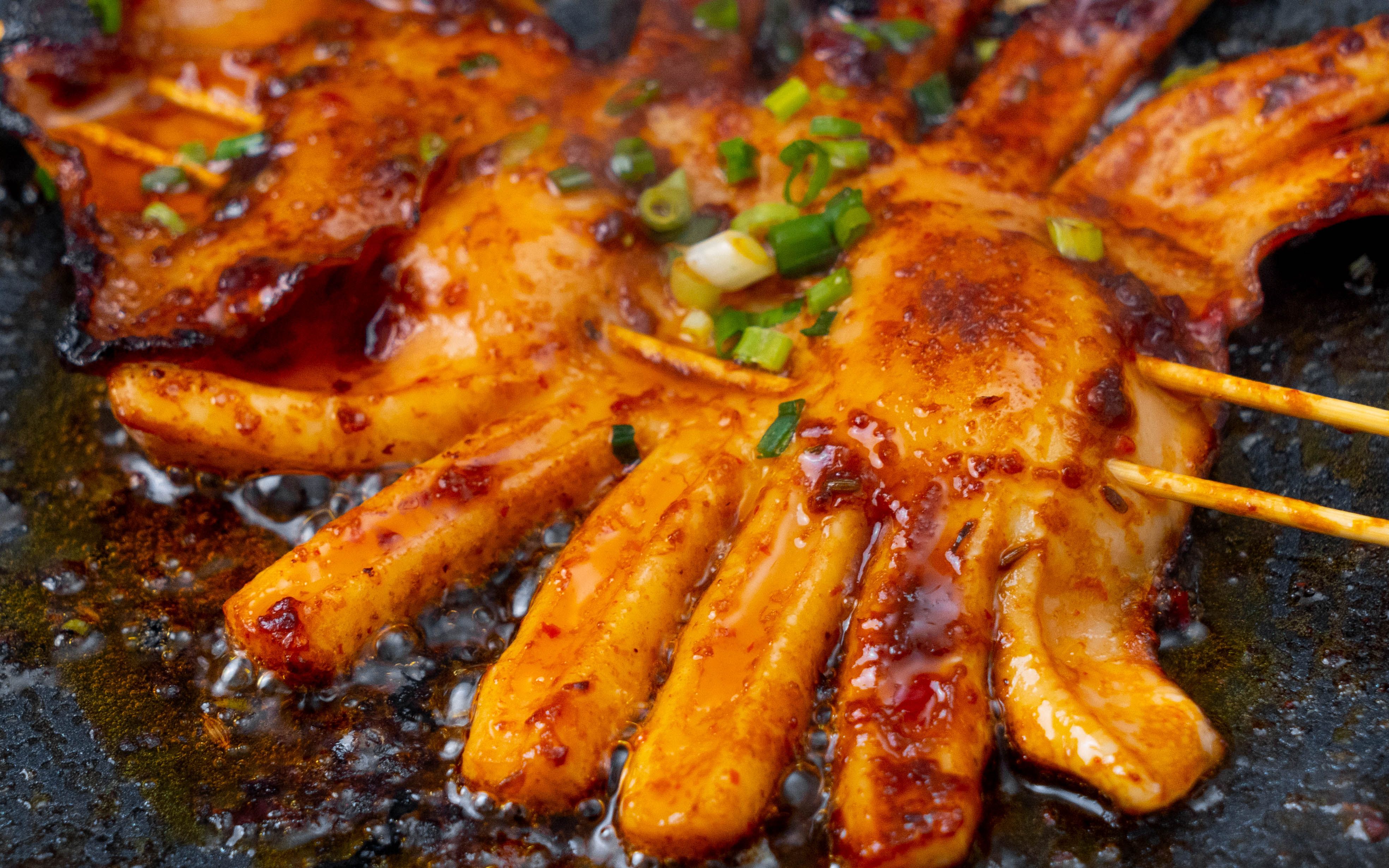 想學(xué)鐵板魷魚？這些問題你需要知道