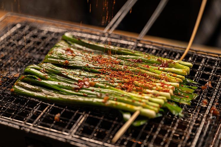 素菜燒烤大全及做法：讓蔬菜也能燒出美味！