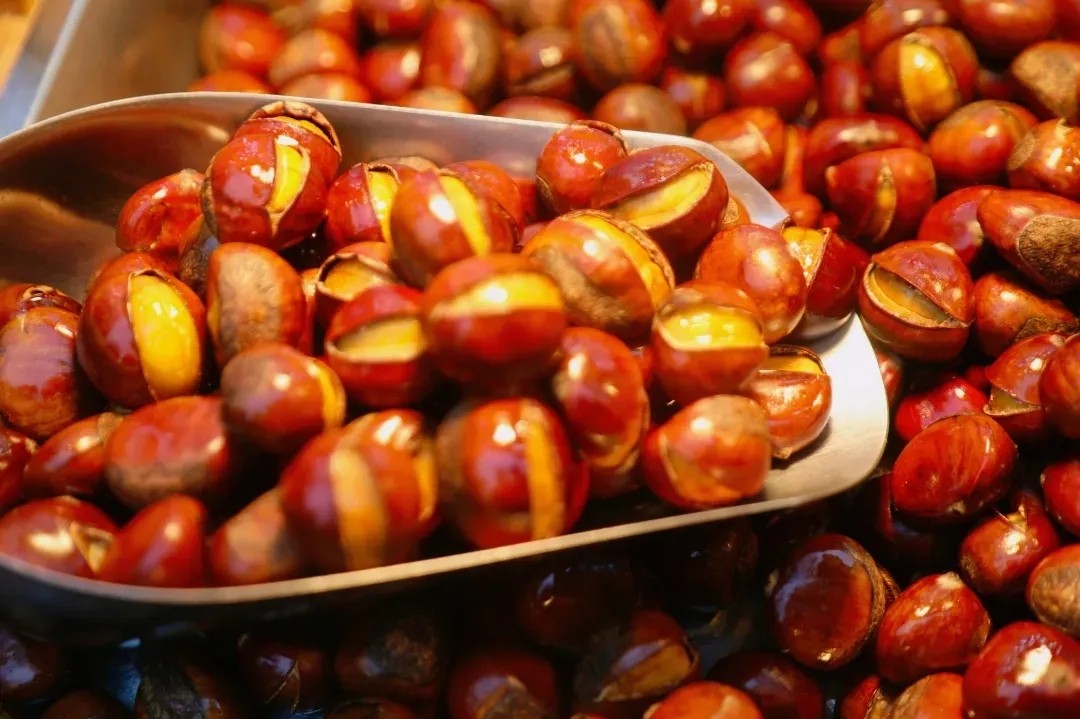 糖炒栗子擺攤教學(xué)怎么學(xué)？操作技巧分享，讓新手也能穩(wěn)穩(wěn)上手！(圖2)